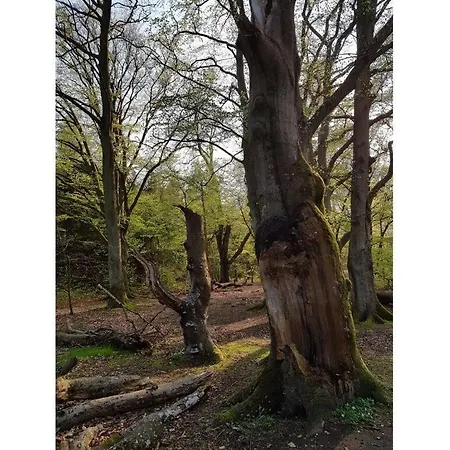 With Swimming Pool *