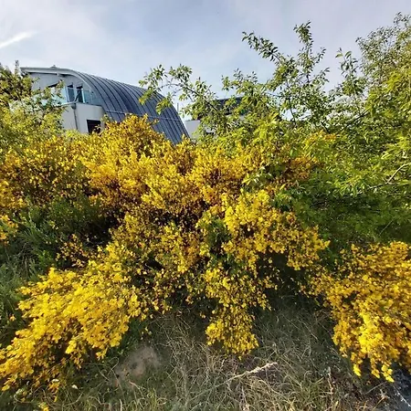 Casa vacanze With Swimming Pool *